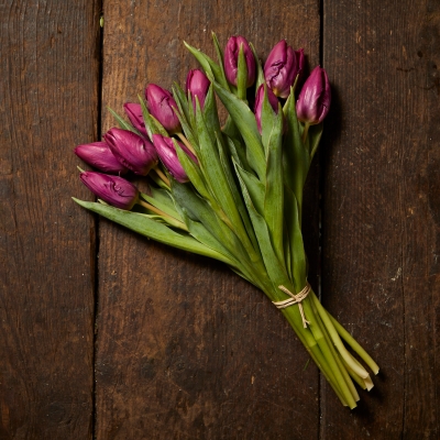 Tulips of your choice