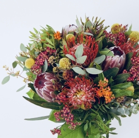 Protea