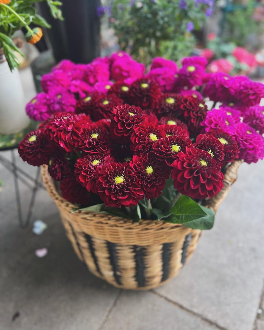 clapham florist flower delivery clapham