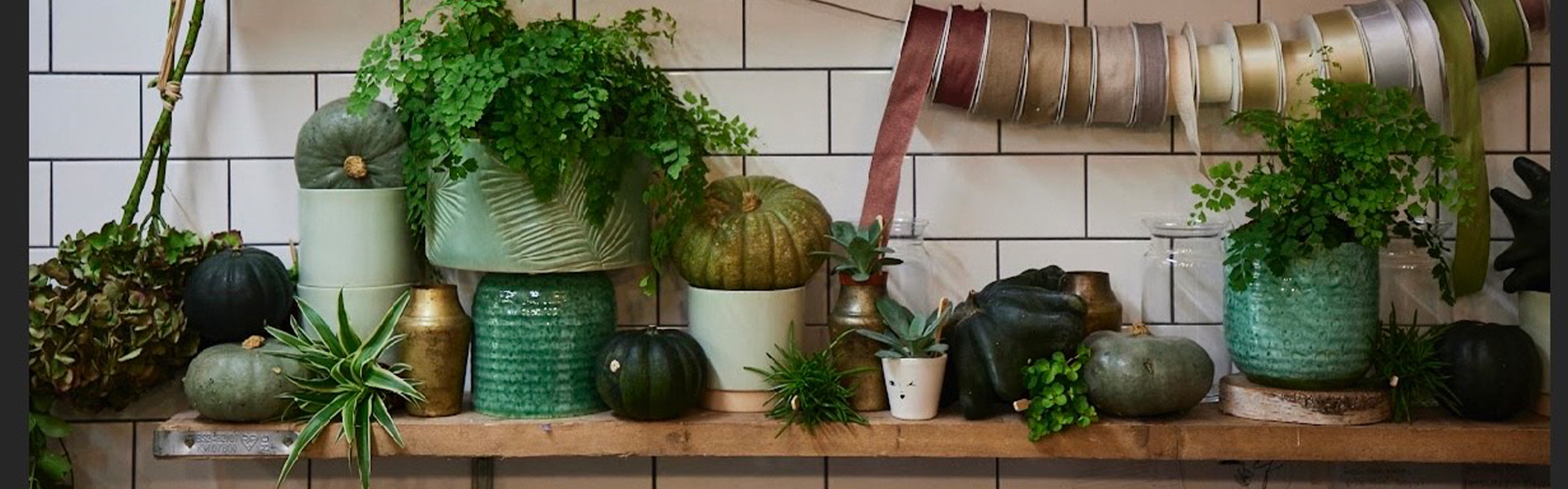 Clapham Flowers, your florist in Clapham since 2002. Delivery in