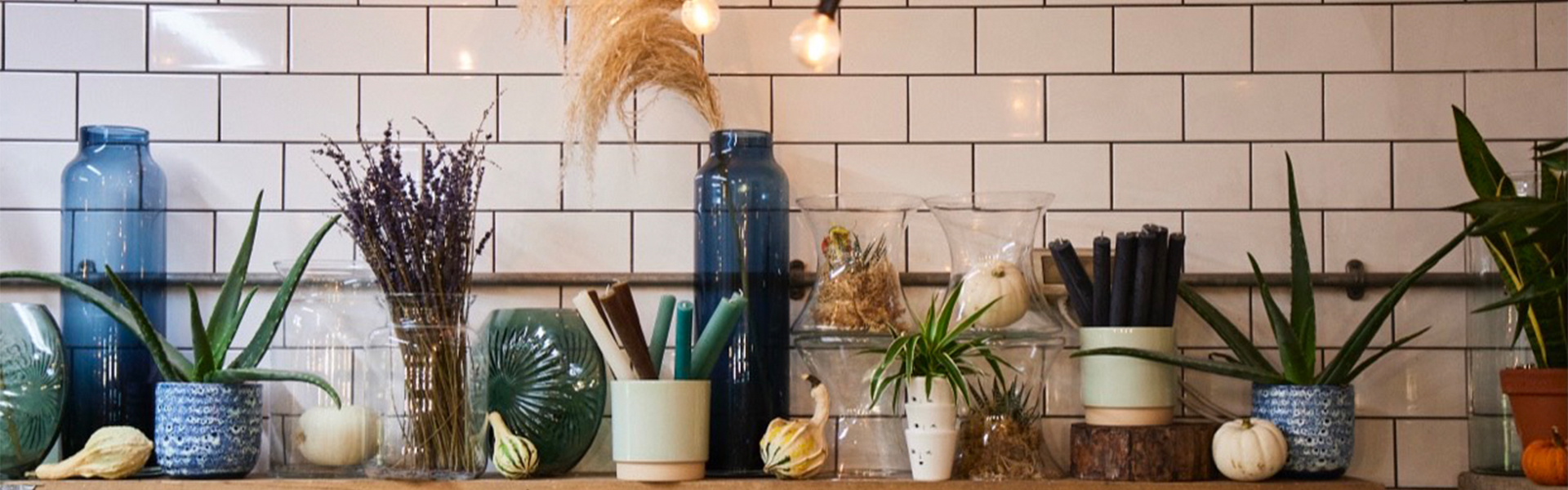 Clapham Flowers, your florist in Clapham since 2002. Delivery in